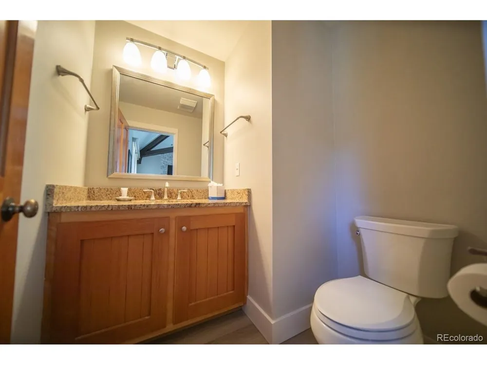 392 Wild Irishman Road #1910 Dillon, CO 80435
