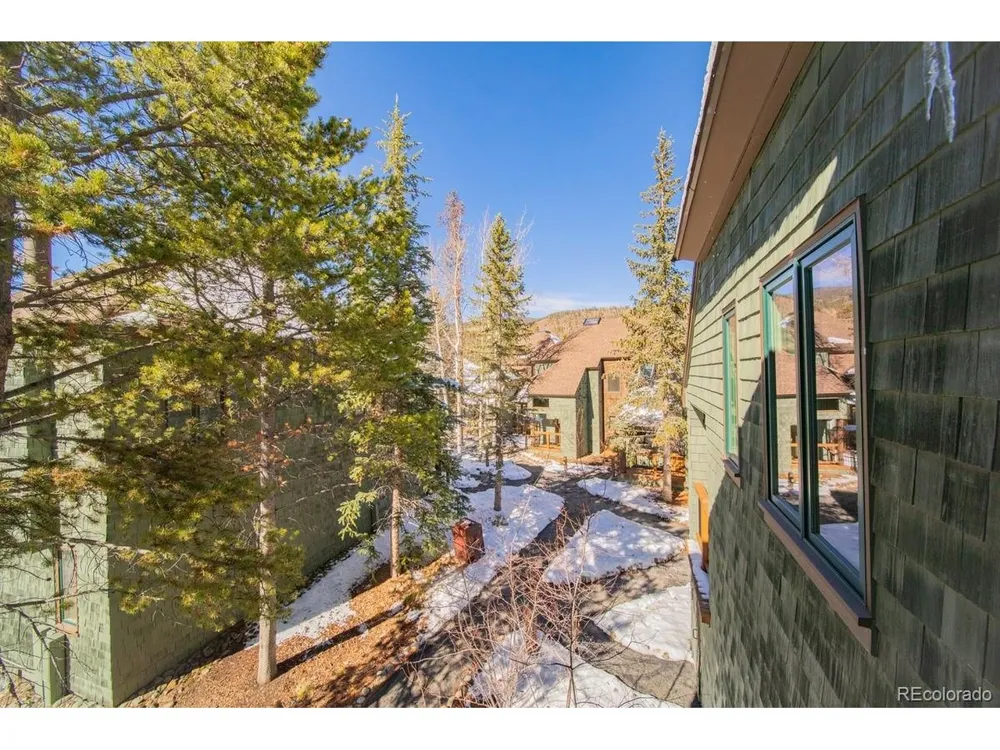 392 Wild Irishman Road #1910 Dillon, CO 80435