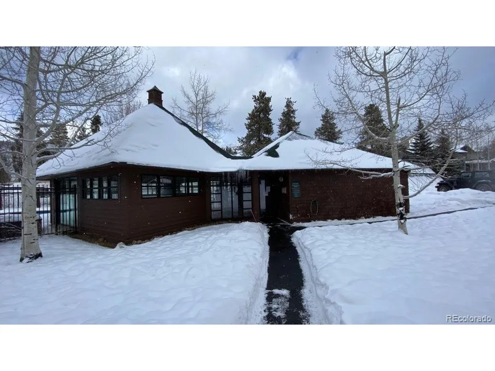 392 Wild Irishman Road #1910 Dillon, CO 80435