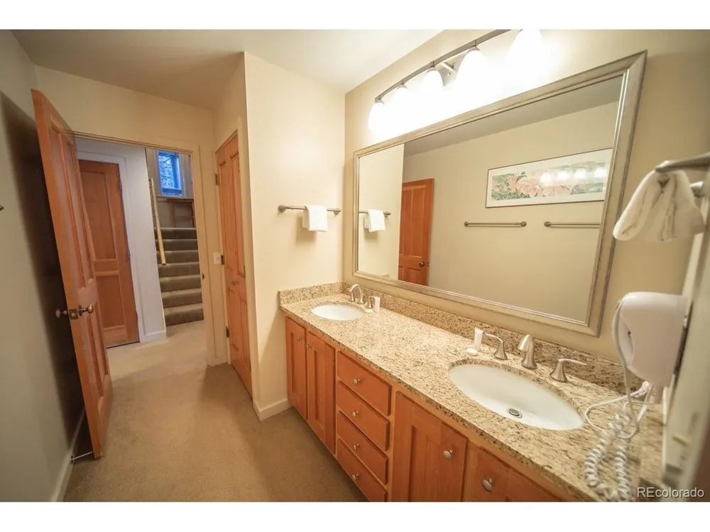 392 Wild Irishman Road #1910 Dillon, CO 80435