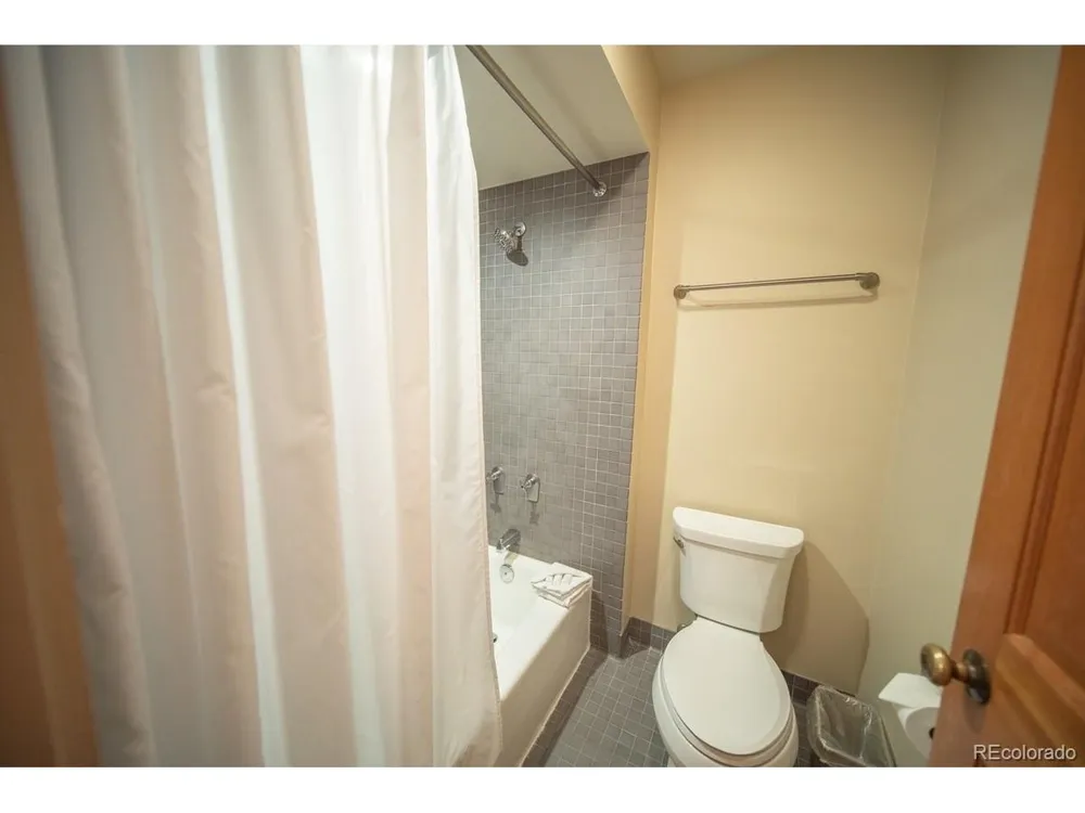 392 Wild Irishman Road #1910 Dillon, CO 80435