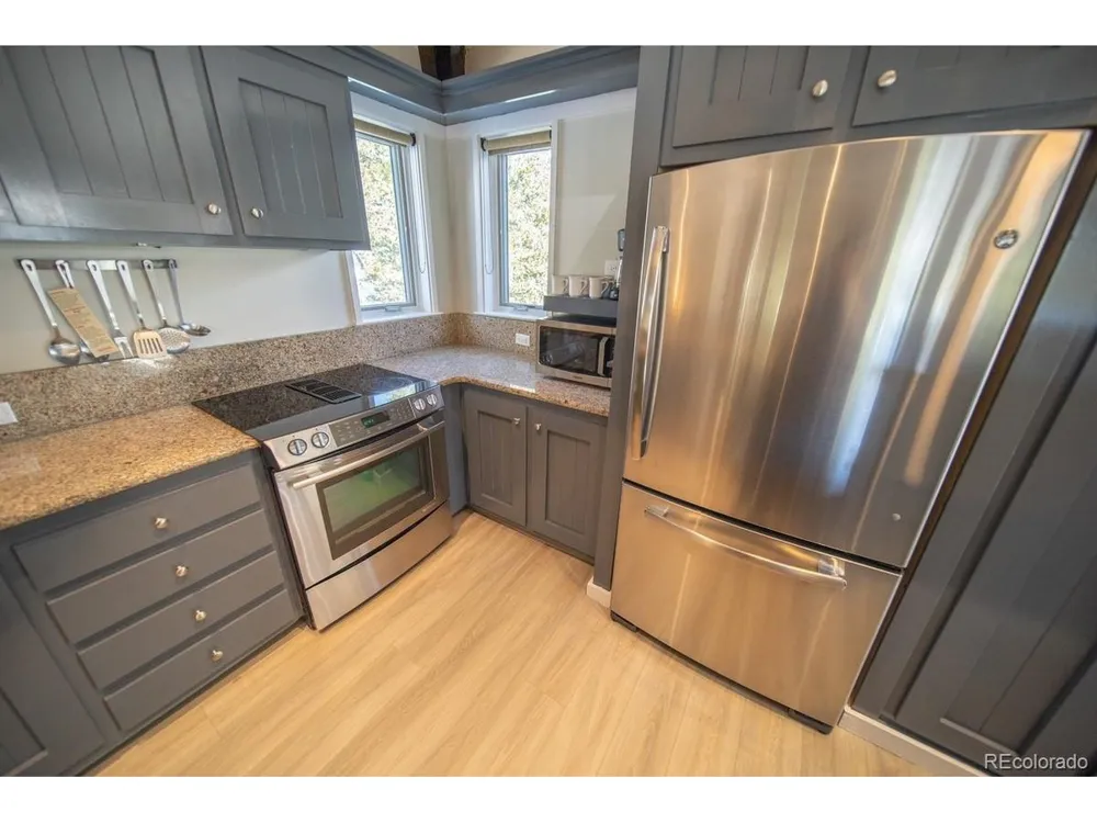 392 Wild Irishman Road #1910 Dillon, CO 80435