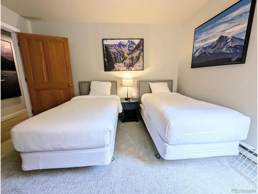 392 Wild Irishman Road #1910 Dillon, CO 80435