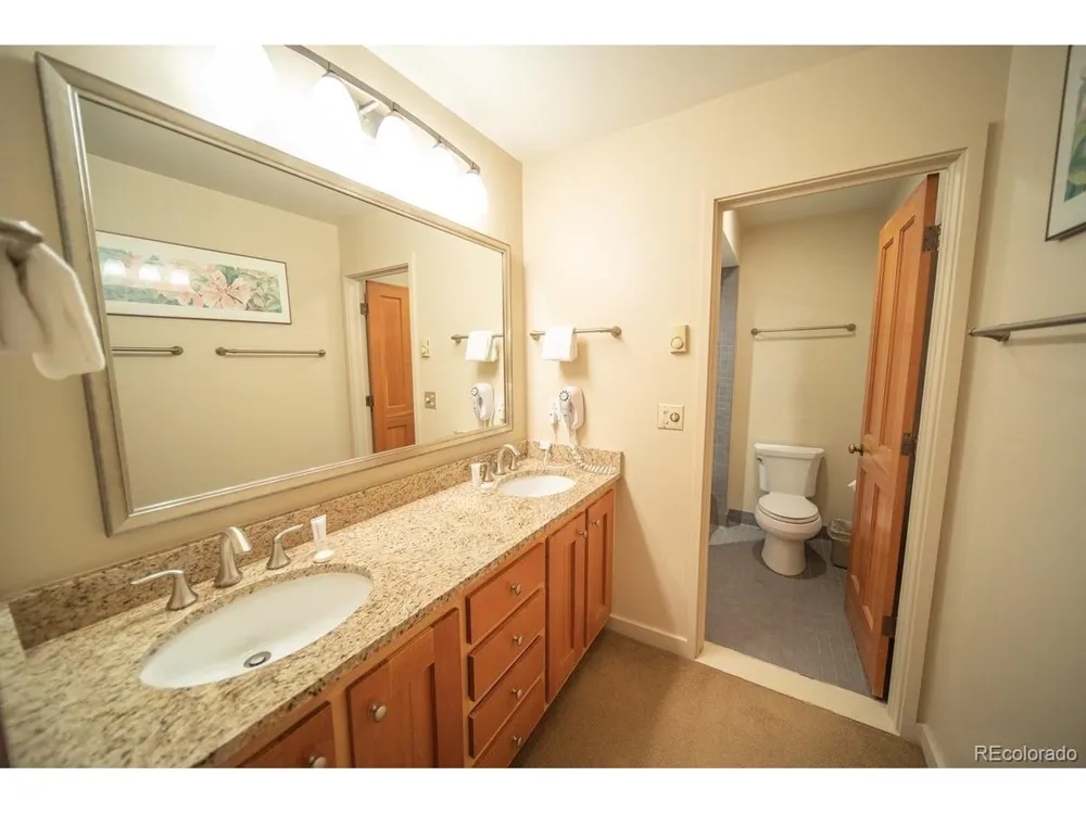 392 Wild Irishman Road #1910 Dillon, CO 80435