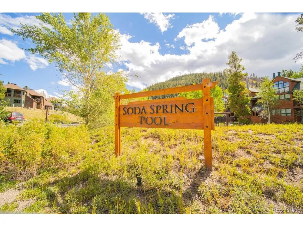 392 Wild Irishman Road #1910 Dillon, CO 80435