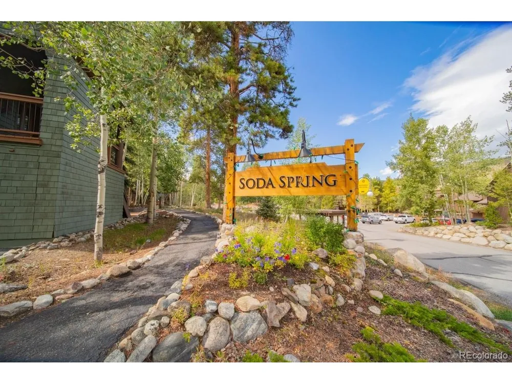 392 Wild Irishman Road #1910 Dillon, CO 80435