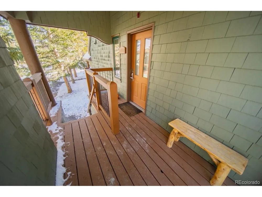 392 Wild Irishman Road #1910 Dillon, CO 80435