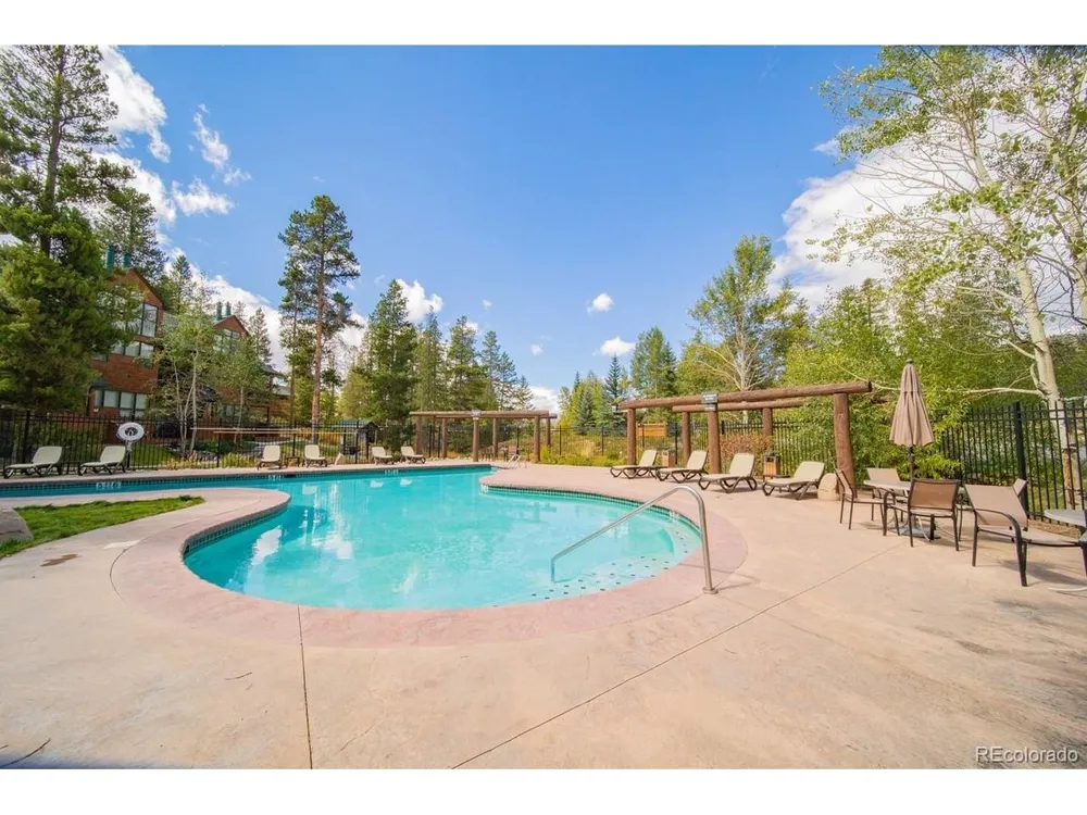 392 Wild Irishman Road #1910 Dillon, CO 80435