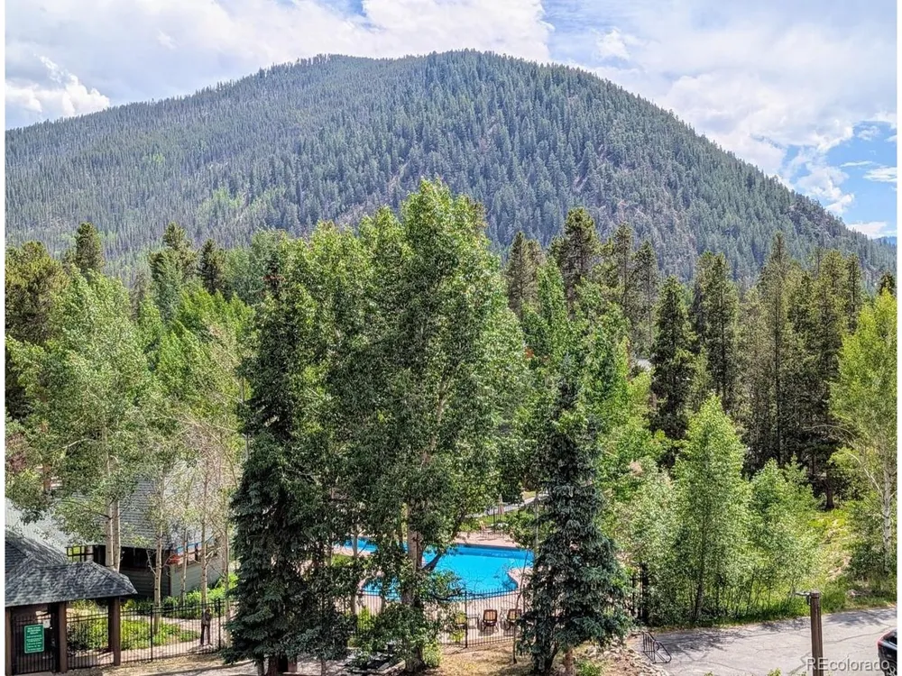 392 Wild Irishman Road #1910 Dillon, CO 80435
