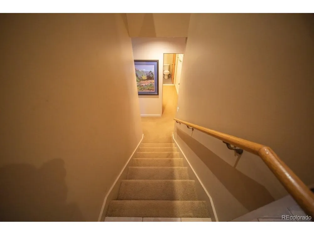 392 Wild Irishman Road #1910 Dillon, CO 80435