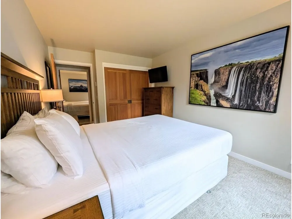 392 Wild Irishman Road #1910 Dillon, CO 80435