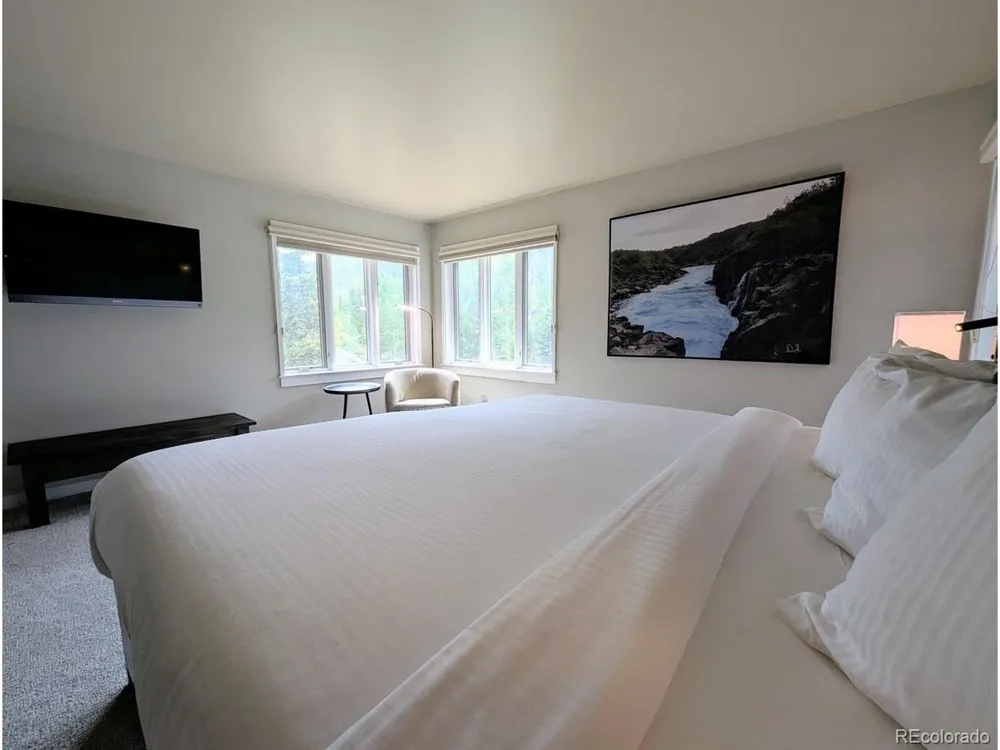 392 Wild Irishman Road #1910 Dillon, CO 80435