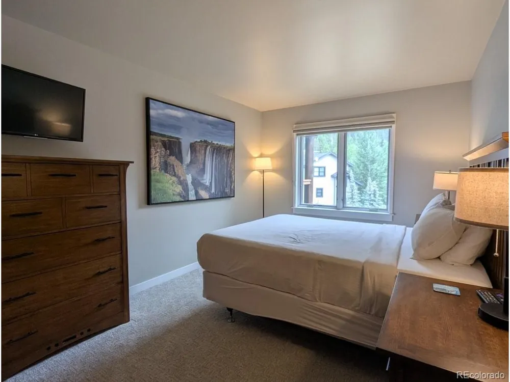 392 Wild Irishman Road #1910 Dillon, CO 80435