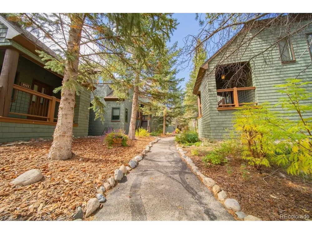 392 Wild Irishman Road #1910 Dillon, CO 80435