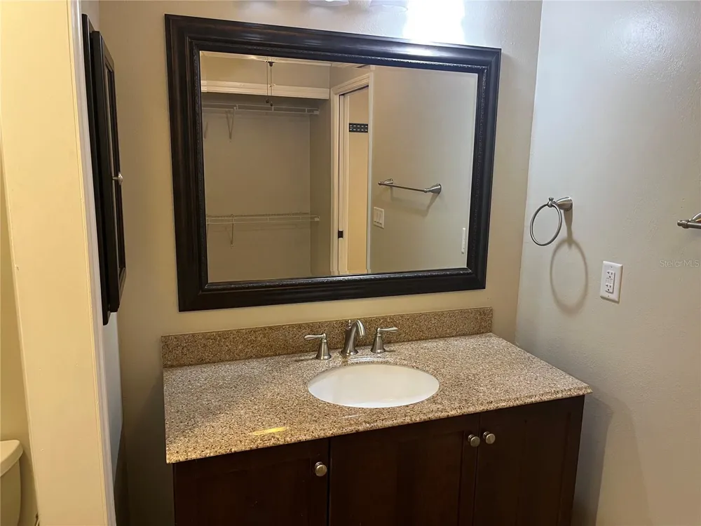 3101 VILLAGE LANE Mount Dora, FL 32757