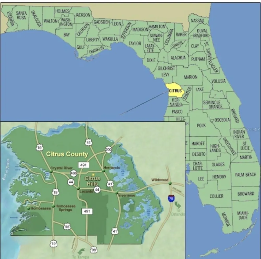 8441 INCA WAY Dunnellon, FL 34434