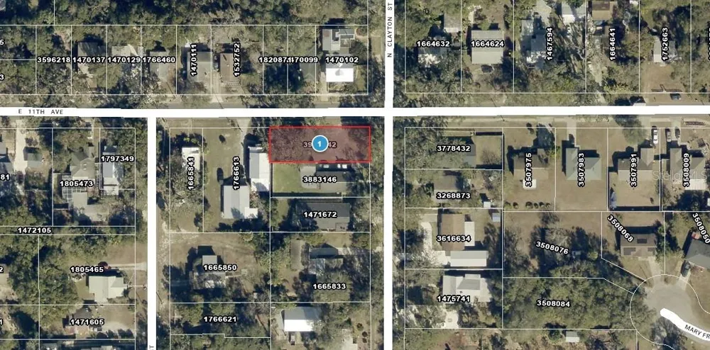 CLAYTON STREET Mount Dora, FL 32757