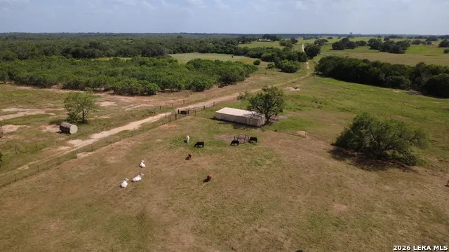 3558 Fm 536 Floresville, TX 78114