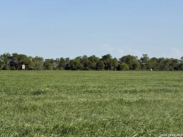 3558 Fm 536 Floresville, TX 78114