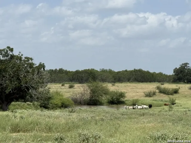 3558 Fm 536 Floresville, TX 78114