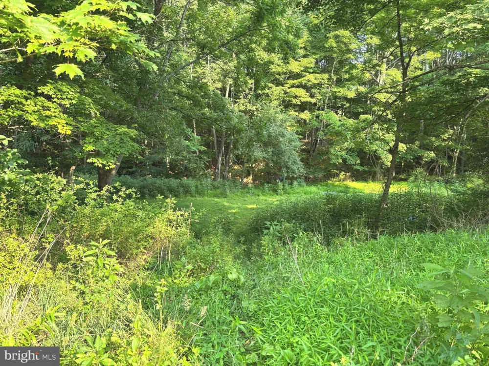 2600 MIDDLE COVE ROAD Mathias, WV 26812