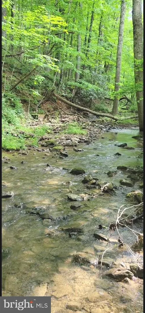 2600 MIDDLE COVE ROAD Mathias, WV 26812