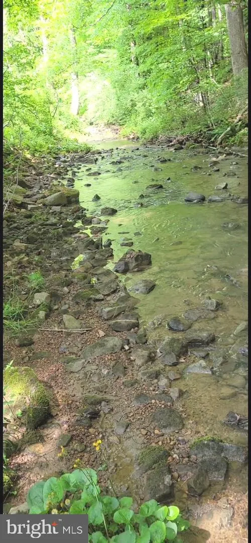 2600 MIDDLE COVE ROAD Mathias, WV 26812