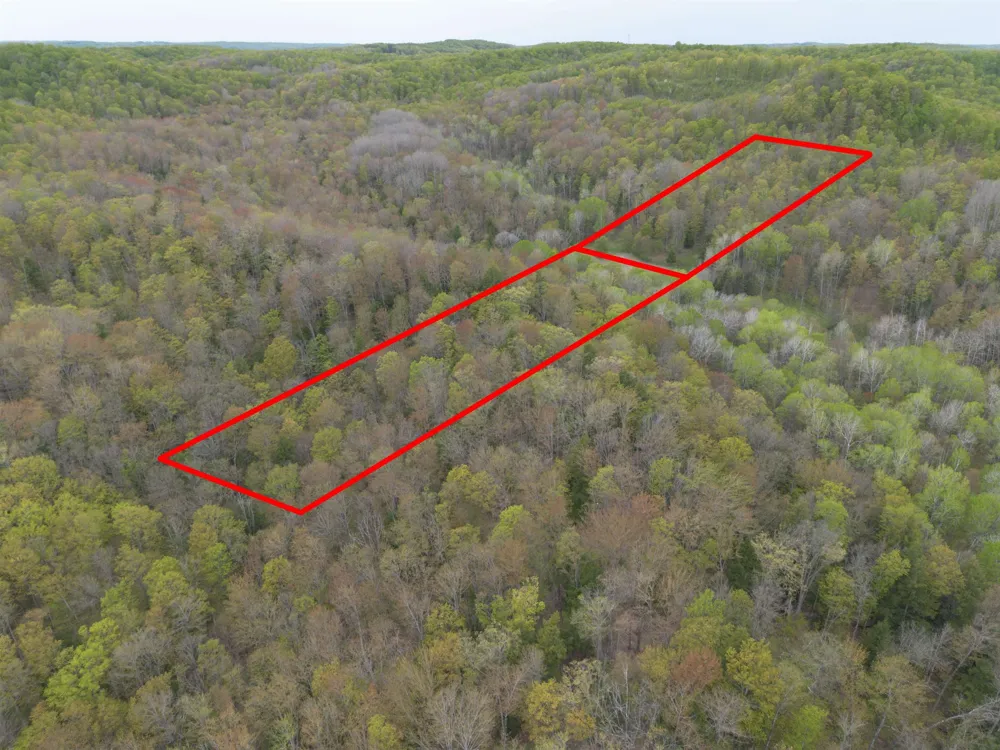 Brookwood Drive Jordan Township, MI 49727