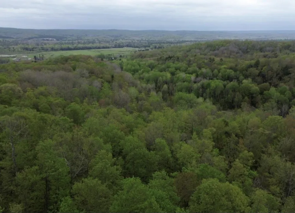 Brookwood Drive Jordan Township, MI 49727
