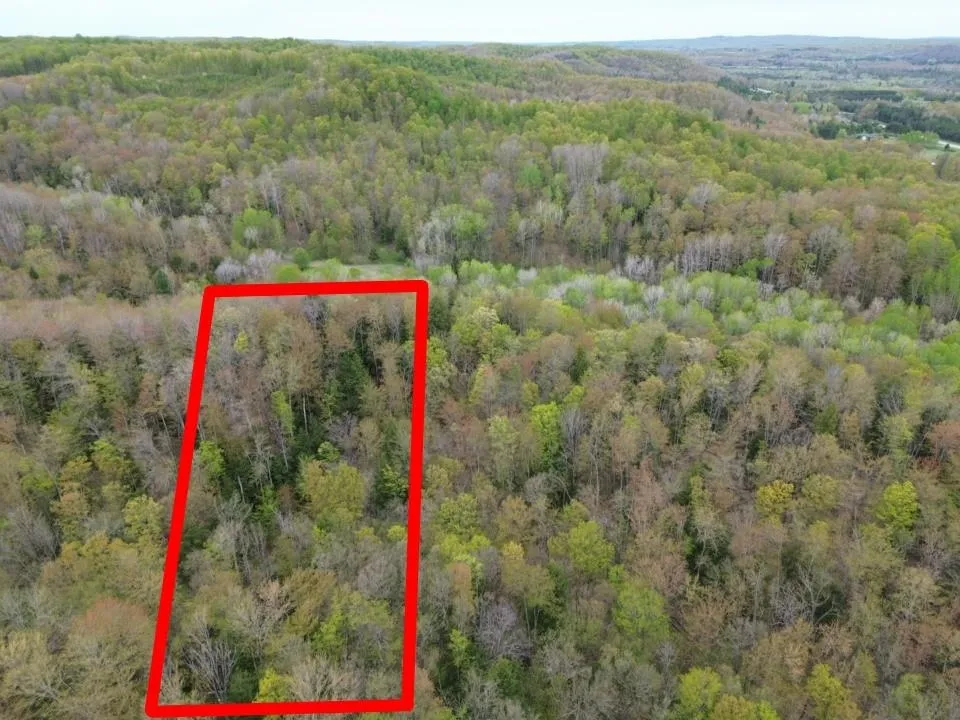 Brookwood Drive Jordan Township, MI 49727