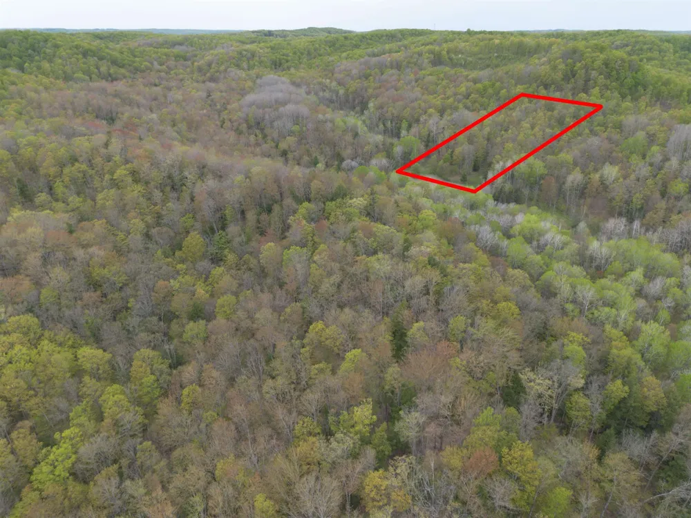Brookwood Drive Jordan Township, MI 49727