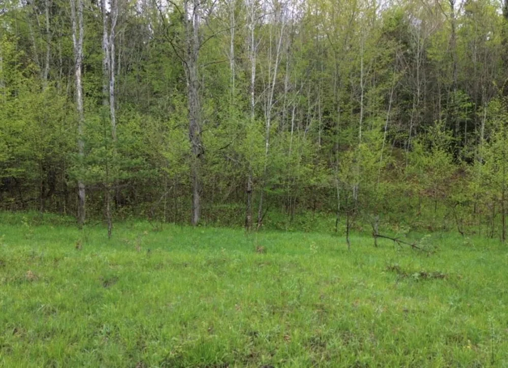 Brookwood Drive Jordan Township, MI 49727