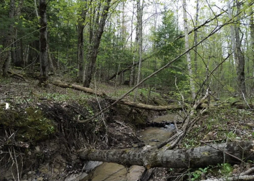 Brookwood Drive Jordan Township, MI 49727
