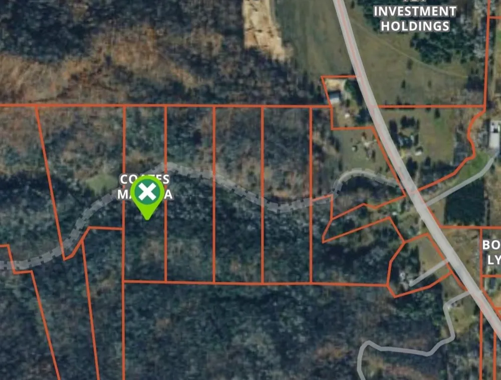 Brookwood Drive Jordan Township, MI 49727