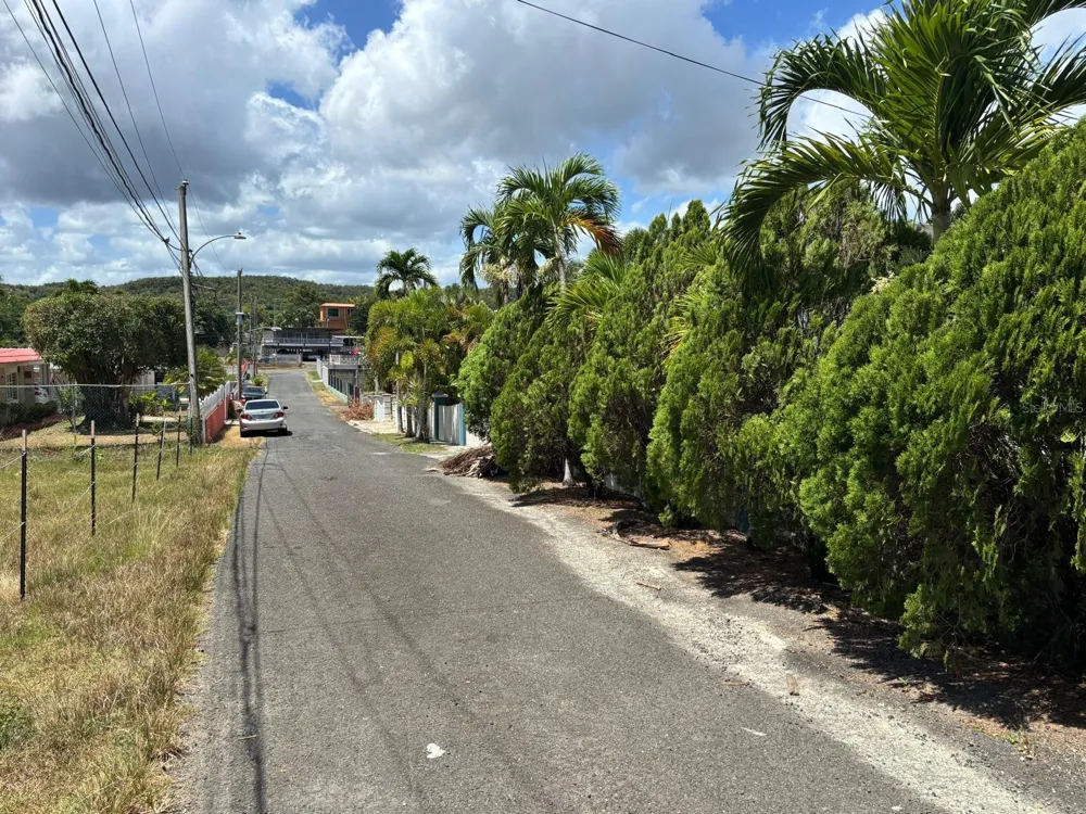 2 RAMAL 685 BO TIERRAS NUEVAS SEC LOS RABANOS Manati, PR 00674