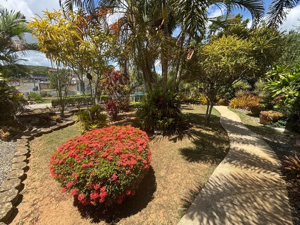 2 RAMAL 685 BO TIERRAS NUEVAS SEC LOS RABANOS Manati, PR 00674