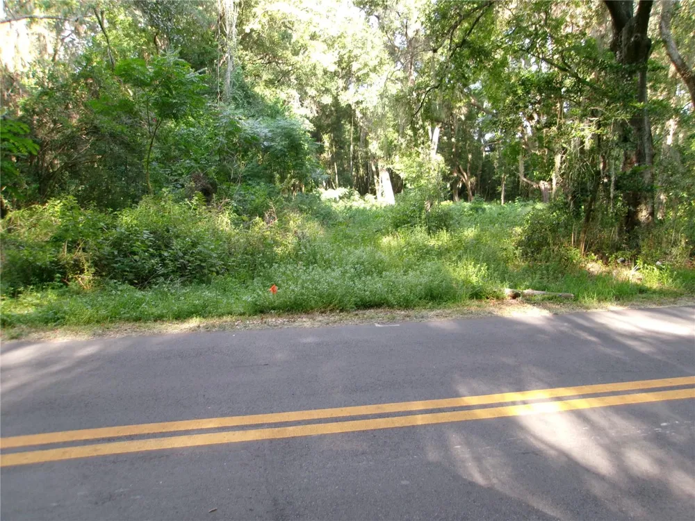 ST CLAIR STREET Wildwood, FL 34785