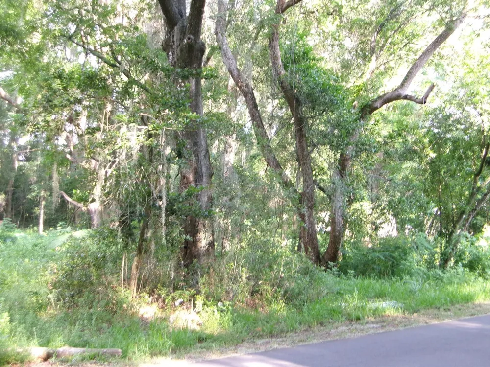 ST CLAIR STREET Wildwood, FL 34785