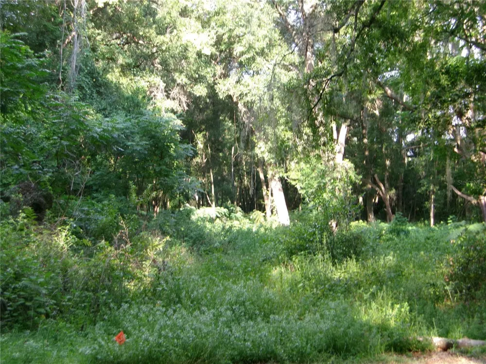 ST CLAIR STREET Wildwood, FL 34785