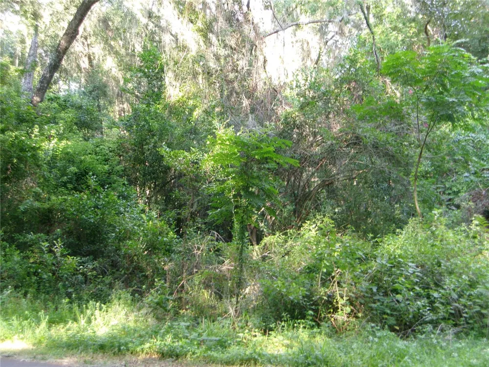 ST CLAIR STREET Wildwood, FL 34785