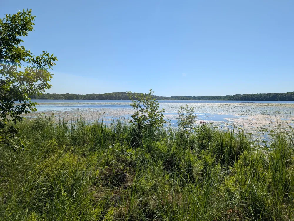 3223 Sebie Lake Road Fort Ripley, MN 56449