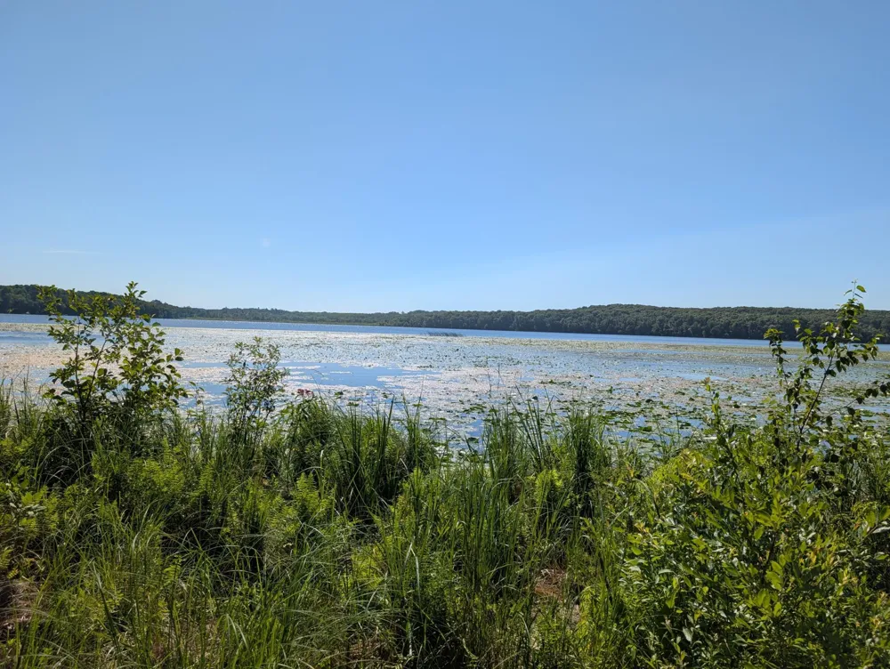 3223 Sebie Lake Road Fort Ripley, MN 56449