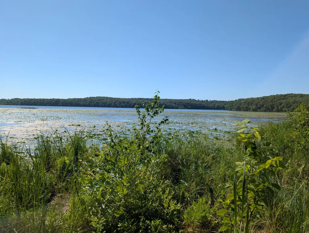 3223 Sebie Lake Road Fort Ripley, MN 56449