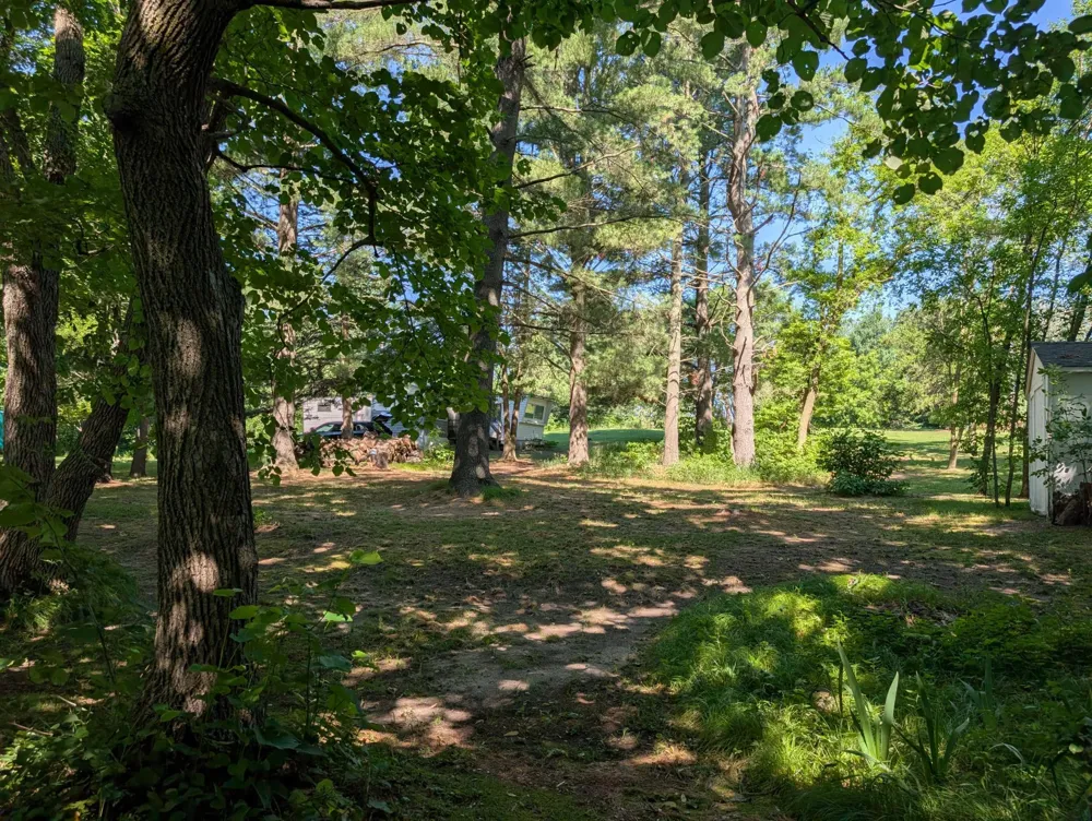 3223 Sebie Lake Road Fort Ripley, MN 56449
