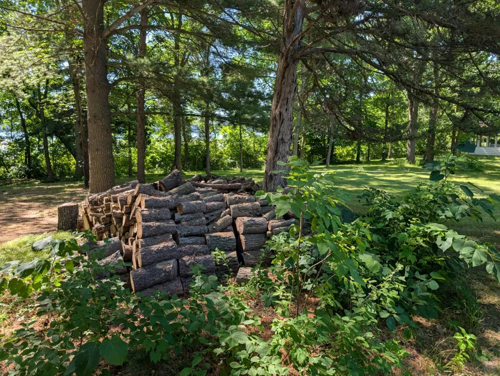 3223 Sebie Lake Road Fort Ripley, MN 56449