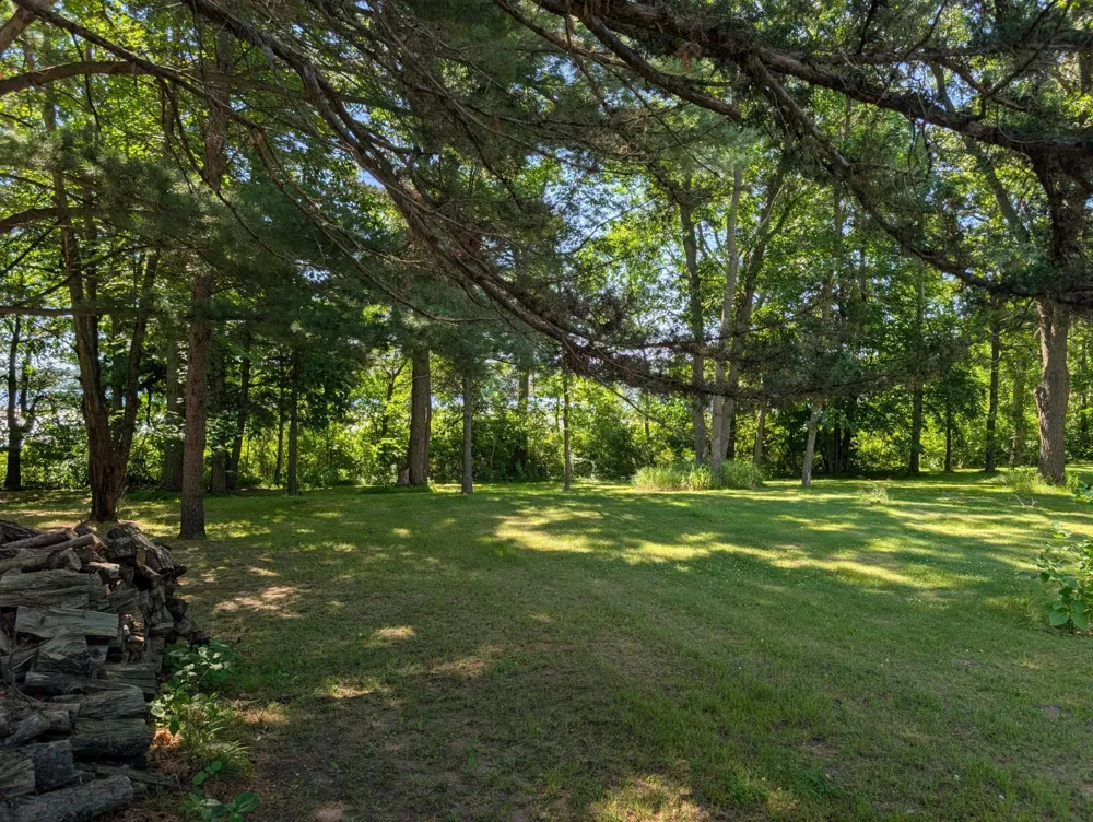 3223 Sebie Lake Road Fort Ripley, MN 56449