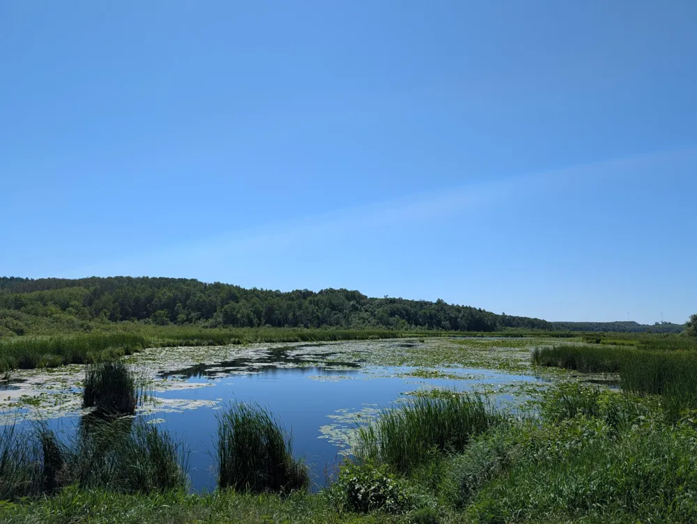 3223 Sebie Lake Road Fort Ripley, MN 56449