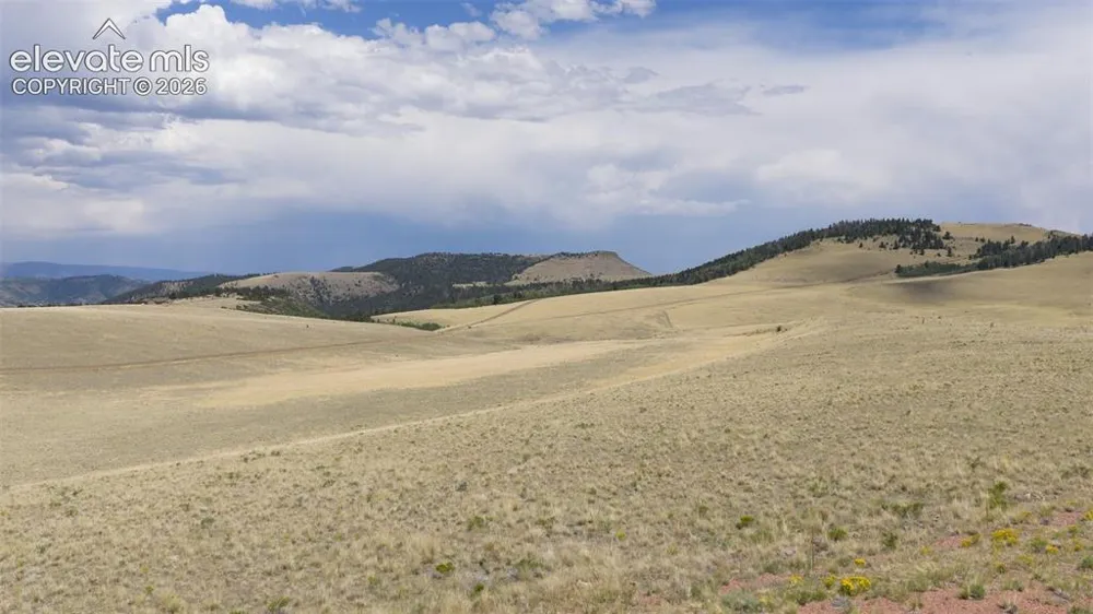 234 Cimarron Canon City, CO 81212