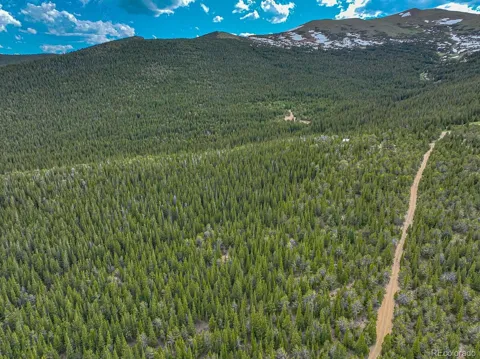 123 Mosquito Creek Road