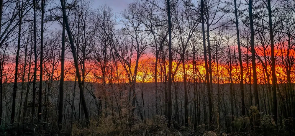 164 Center Ridge Dr Hohenwald, TN 38462